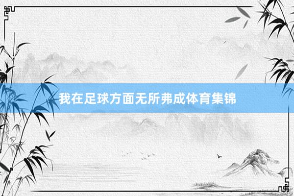 我在足球方面无所弗成体育集锦