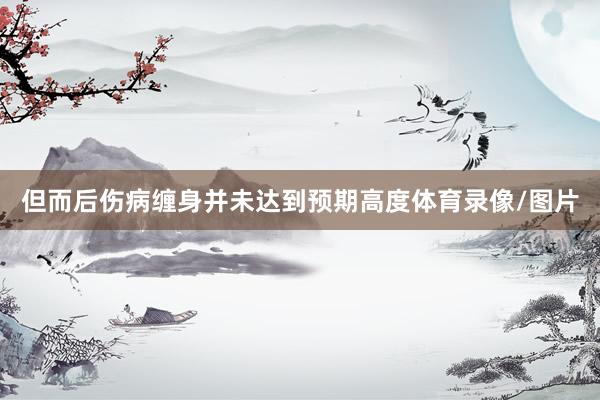但而后伤病缠身并未达到预期高度体育录像/图片