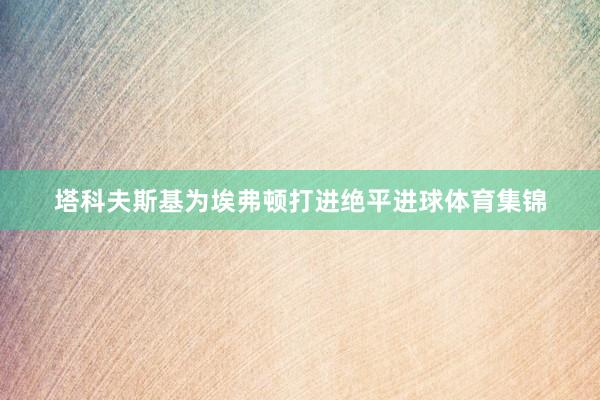 塔科夫斯基为埃弗顿打进绝平进球体育集锦