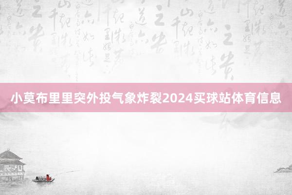 小莫布里里突外投气象炸裂2024买球站体育信息