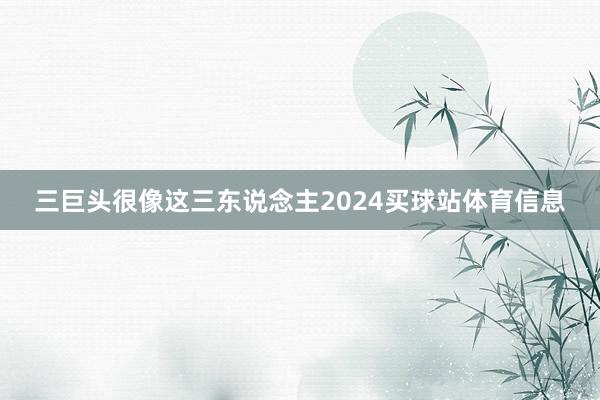 三巨头很像这三东说念主2024买球站体育信息