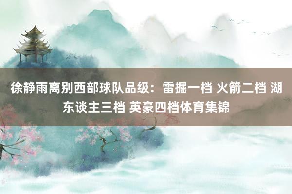 徐静雨离别西部球队品级：雷掘一档 火箭二档 湖东谈主三档 英豪四档体育集锦