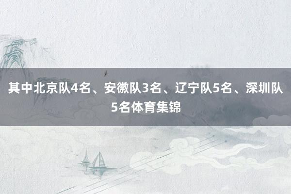 其中北京队4名、安徽队3名、辽宁队5名、深圳队5名体育集锦