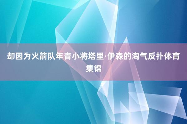 却因为火箭队年青小将塔里·伊森的淘气反扑体育集锦