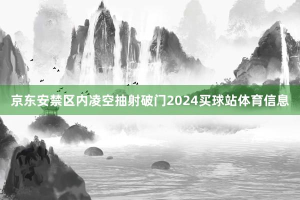 京东安禁区内凌空抽射破门2024买球站体育信息